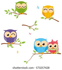 Happy Owl background with tree branch 