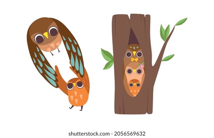 Happy Owl Family with Father, Mother and Baby Sitting in Tree Hollow and Flying Vector Set