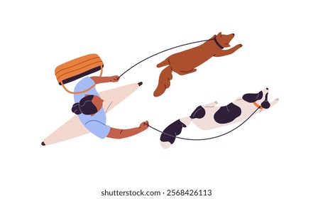 Happy owner with bag walks her dogs top view. Black woman leads doggies on leashes overhead. Seen above head person strolls puppies outdoors. Flat isolated vector illustration on white background