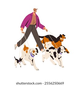 Happy owner and many dogs walk together. Pet sitter leads doggy pack on leash. Person strolls with a lot of puppies outdoors. Volunteer with pups. Flat isolated vector illustration on white background