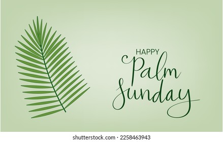 Happy Palm Sunday congratulation card. Handwritten calligraphy lettering with palm leaf illustration vector.