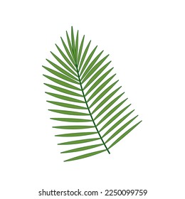 Happy Palm Sunday illustration with palm leaf. Vector isolated.