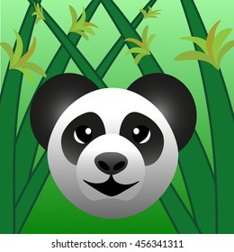 happy panda with bamboo on the background