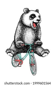 un feliz panda montando una ilustración dibujada a mano en bicicleta