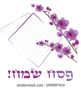 
Happy Passover, traditional jewish holiday background. Matzah bread, almond flowers and text (happy peach on Hebrew), vector 