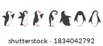 Happy penguin cartoon characters in different poses set
