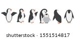 Happy penguin characters in different poses set