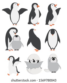 Happy penguin and chicks characters in different poses set