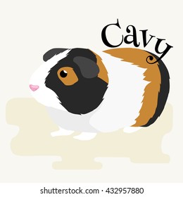 Happy Pets, home animals guinea pig on the white background