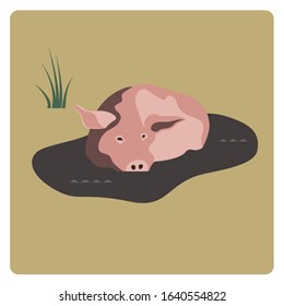 A happy pig is lying in a puddle.