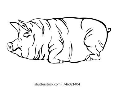 happy pig. vector draw on white background