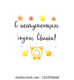 Happy pig year! Written in Russian.
