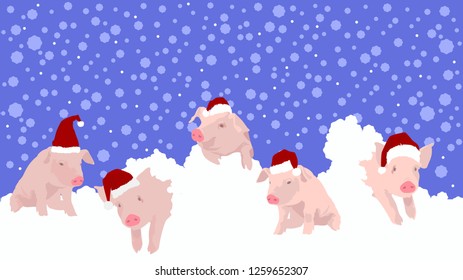 Happy Pigs in the cap of Santa Claus. Vector illustration