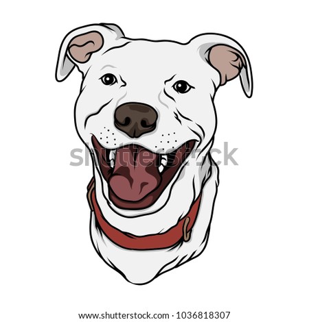 Happy Pitbull Face Handdrawn Vector Illustration Stock Vector (Royalty