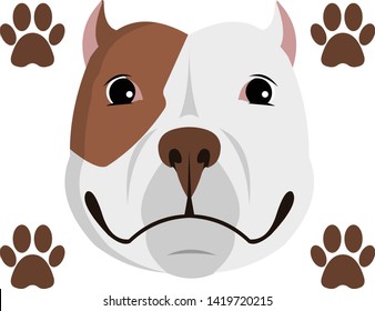 happy pitbull puppy  dog smiling