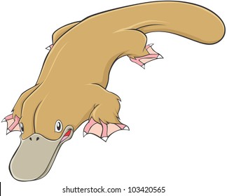 Happy Platypus Illustration