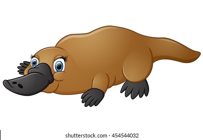 Happy platypus isolated on white background