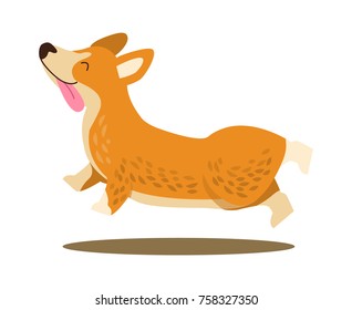 Happy playing corgi with protruding tongue in jump isolated on white background. Vector illustration with cute smiling dog happily running