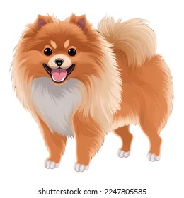 happy pomeranian dog hand drawn digital painting illustration