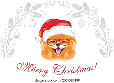 Happy Pomeranian dog wearing eyeglasses and Santa hat. Christmas design for postcard. Vector