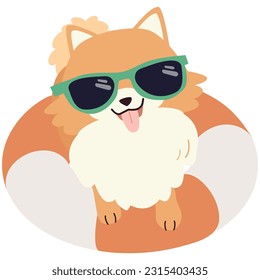 Happy Pomeranian with sunglasses and floating ring, air mattress for summer