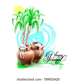 happy Pongal greeting card design to south Indian harvest festival on brush stroke background, vector illustration