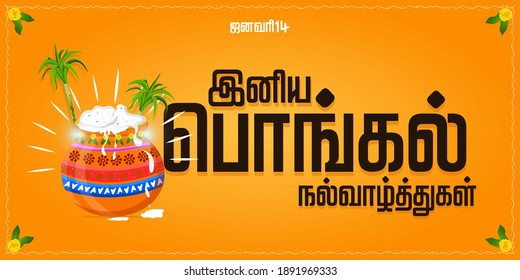 Happy Pongal religious festival of South India celebration background and Happy pongal translate Tamil text - Illustration Vector