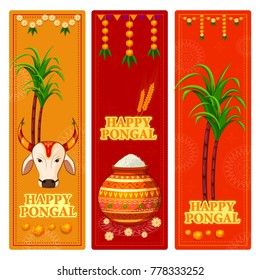 Happy Pongal religious festival of South India celebration background. Vector illustration