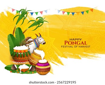Happy Pongal south Indian crop festival celebration card vector
