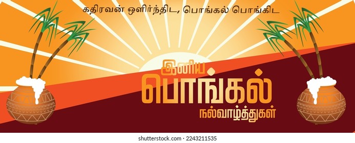 Happy Pongal Wishes in South India  Festivel celebration sunrise typography Banner Design holiday Gradient background  web design template card graphic design  vector