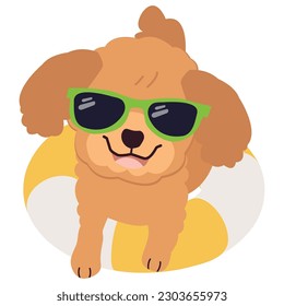 Happy Poodle dog with sunglasses and floating ring, air mattress for summer