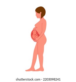 Happy pregnant woman with healthy cute fetus baby in her belly flat vector illustration