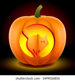 Happy Pumpkin with an aggressive cat.The mask is carved with a knife. Halloween symbol. With a bright candle inside. Isolated on a dark background. Vector graphics
