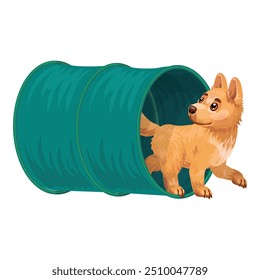 O cachorro feliz está emergindo de um obstáculo de treinamento do túnel de agilidade