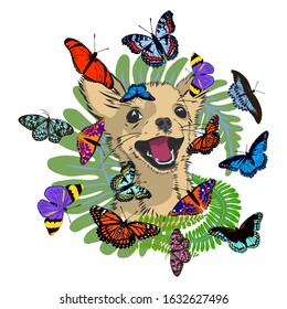 happy puppy dog in the grass with butterflies, cartoon vector illustration