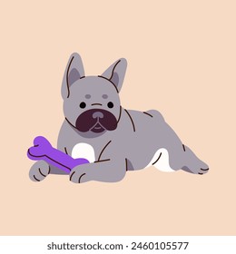 Cachorro feliz de bulldog francés juega con hueso. Lindo perro mintiendo, se divierte con el juguete canino. Adorable Pequeño perro se relaja. Un cachorro divertido, una mascota encantadora tiene un descanso. Ilustración vectorial plana aislada