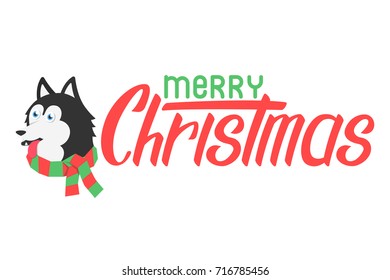 Happy puppy husky in scarf. Flat dog in scarf with merry christmas lettering for poster