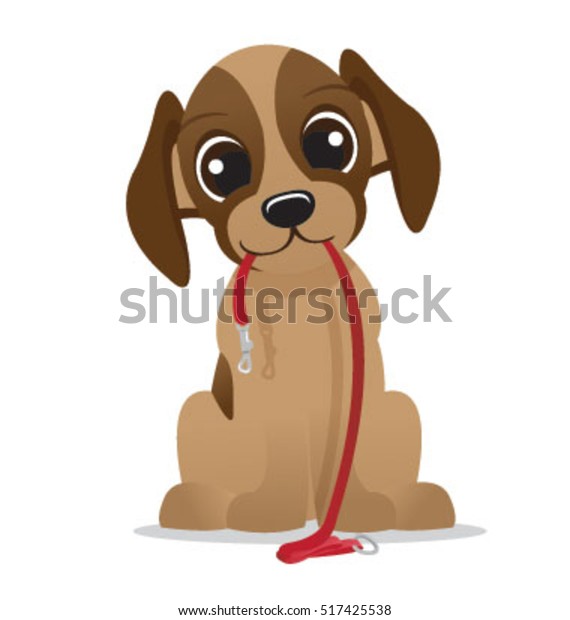 puppy with leash