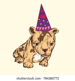 Happy puppy in party hat, brown with white patches, hand drawn doodle sketch, isolated vector illustration, greeting card design