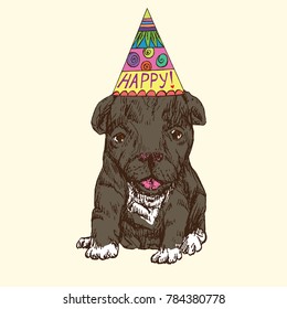 Happy puppy in party hat, brown with white patches, hand drawn doodle sketch, isolated vector illustration, greeting card design