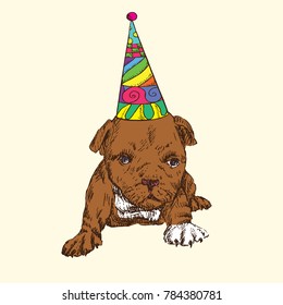 Happy puppy in party hat, brown with white patches, hand drawn doodle sketch, isolated vector illustration, greeting card design