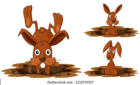 Happy Rabbit on White Background illustration