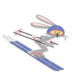 Happy Rabbit Sking Down Hill . Vector Isolated Colorful Illustration In Flat Style.	