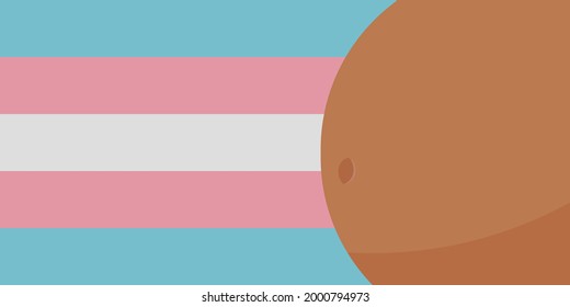 Happy rainbow baby pregnancy surrogate parenthood. Big belly of a black pregnant woman on transsexual pride flag as a background. Vector illustration, copy paste. LGBTQ plus trans community concept