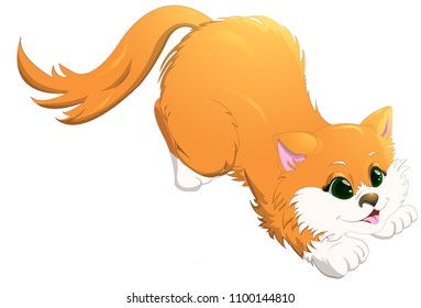 Happy red cat