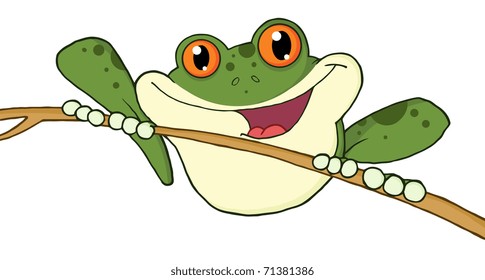 Happy Red Eyed Green Tree Frog