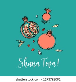 Happy Rosh Hashanah hand drawn vector card, frame, border, background, banner with pomegranate and handlettered sign Shana Tova! 