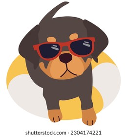 Happy Rottweiler dog with sunglasses and floating ring, air mattress for summer
