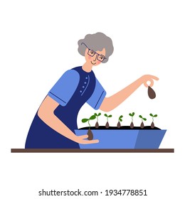 The Happy Seniors is Planting Seeds for Seedlings. Home Garden. The Seeds Sprouted at Home. Flat style Vector Illustration isolated on white Background.