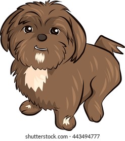 a happy shaggy puppy
